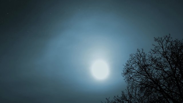 4K Full Moon and Winter Tree Silhouette Scary Night Timelapse