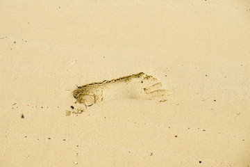 single step on sand