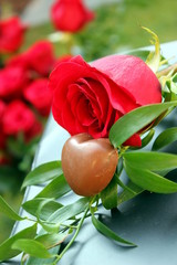 rosa rossa con cioccolatino