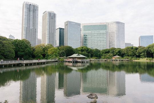 Beautiful traditional Japanese garden in Tokyo with wooden tea house reflecting in large pond with cityscape background 