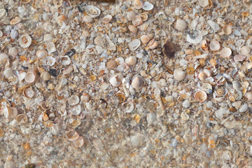 beach texture