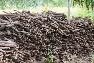 the firewood