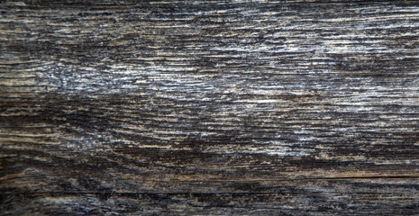 Wwooden texture