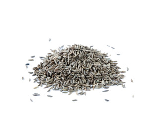 caraway seedsl isolated on white background