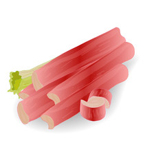 Rhubarb vector set isolated