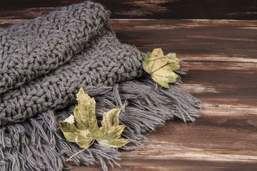 dried autumn leaves on knitted scarf