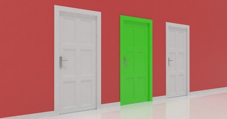 3d door render vote concept