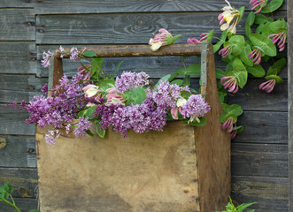 Fototapeta premium букет сирени в деревянном ящике на темном фоне из досок