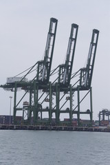 Fototapeta premium Cranes at Harbor