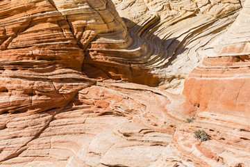 Layers of Curving Rocks