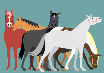 Horses group
