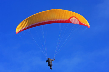 Paraglider