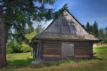 Obraz premium wooden hut under a tree on a sunny day