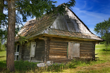 wooden hut under a tree on a sunny day