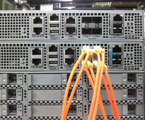 Telecommunication Ethernet Cables Connected to Internet Switch