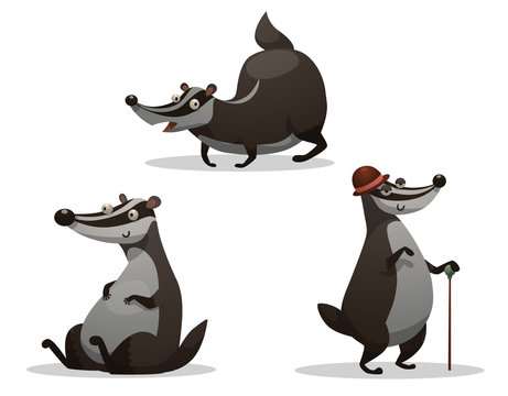 Vector Set of fat badgers. Cartoon image of three funny fat gray-black badgers in various poses on a light background.