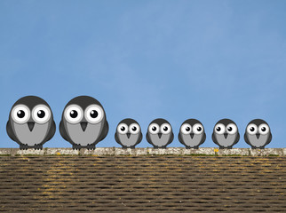 Obraz premium Comical family of birds 