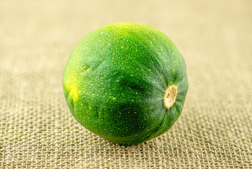 Freshly harvested gem summer squash on hessian