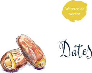 Delicious dried date fruit