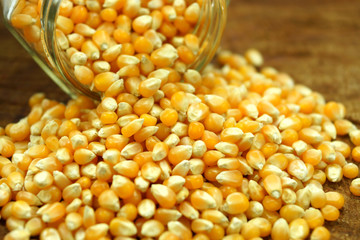 Corn seeds on wood