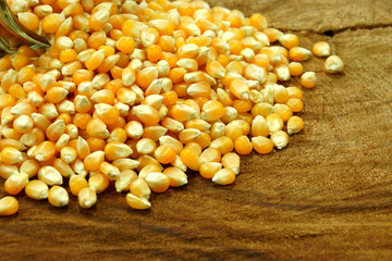Corn seeds on wood