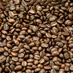 Roasted coffee beans