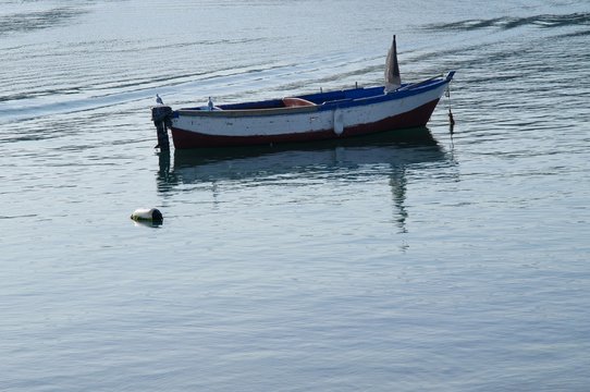 Vecchia barca a remi in legno con due gabbiani a bordo