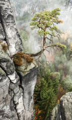 Bastei at Saxon Switzerland, Germany