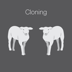 Illustration of sheep and clone of sheep on dark background