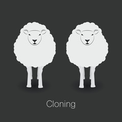 Illustration of sheep and clone of sheep on dark background
