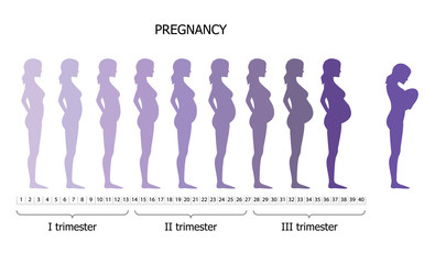 Infographic of pregnant woman in different period - 98759687