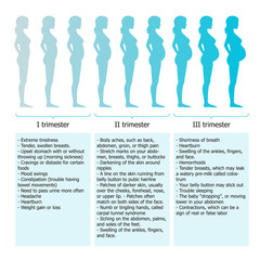 Infographic of pregnant woman in different period - 98759690