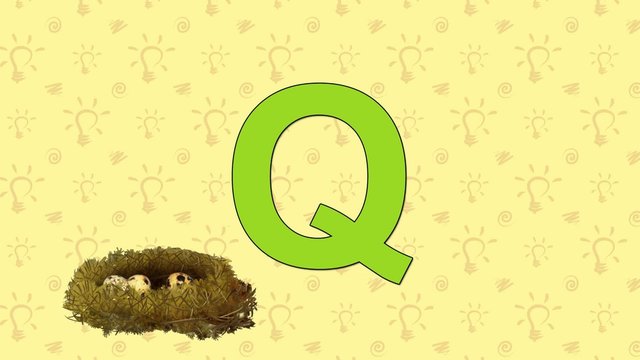 Quail. English ZOO Alphabet - letter Q
Перепелка и буква Q  английского алфавита.