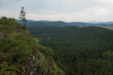 Lonely pine-tree on the rock, Urals
