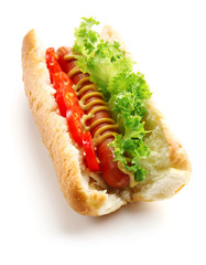 Fresh hot dog isolated on white