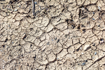 Grey cracked earth