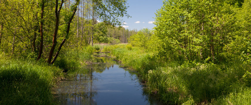 tural Lesna river in summer midday