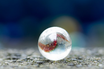 one marble on the sidewalk in close up.