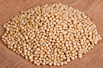 Soy bean 