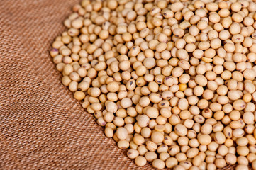Soy bean 