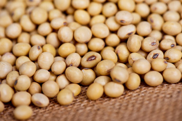 Soy bean 