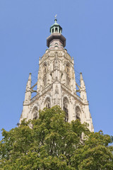 Fototapeta premium Majestic ornate cathedral at the old market, Breda, Netherlands
