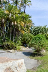 Fototapeta premium nature garden in thailand