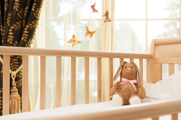 Bunny at the crib waiting for a new friend