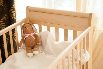 Bunny at the crib waiting for a new friend