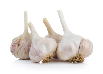 garlic on white background