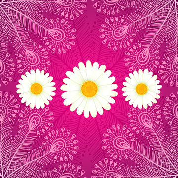 Vector Chamomiles On Pink Ornate Background