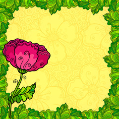 Vector poppy flowers greeting card template