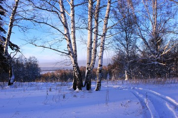 Зима в пригороде