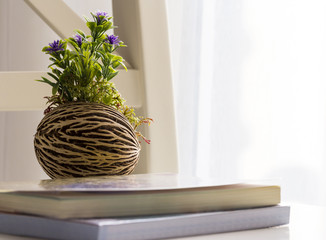 Flower pot in the living room